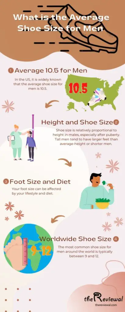 average shoe size for men infographics